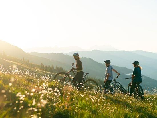 Bike-Sommer-2022.jpg